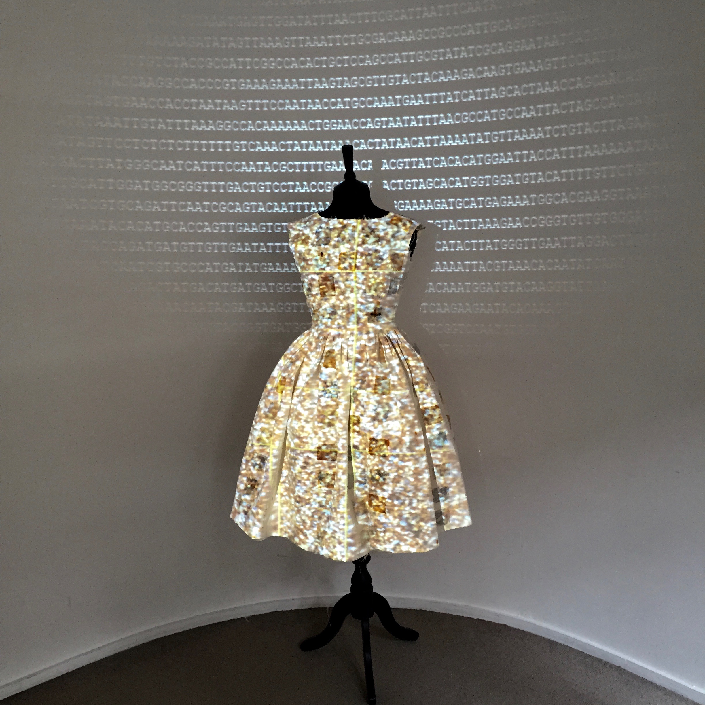 Sequence Dress credit Anna Dumitriu
